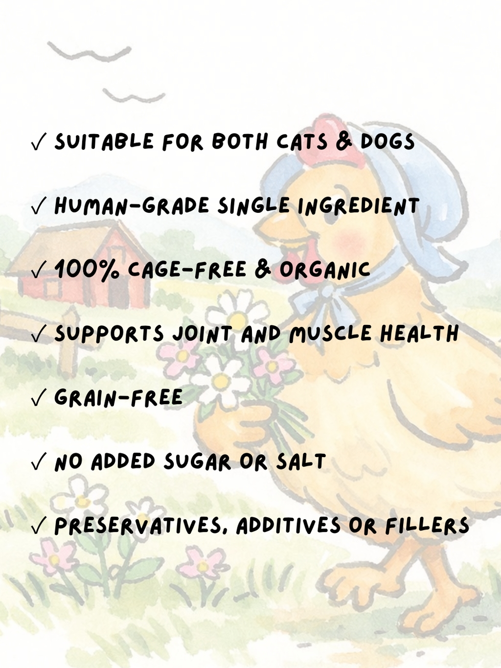 FREEZE DRIED ORGANIC CHICKEN GIZZARD 50G