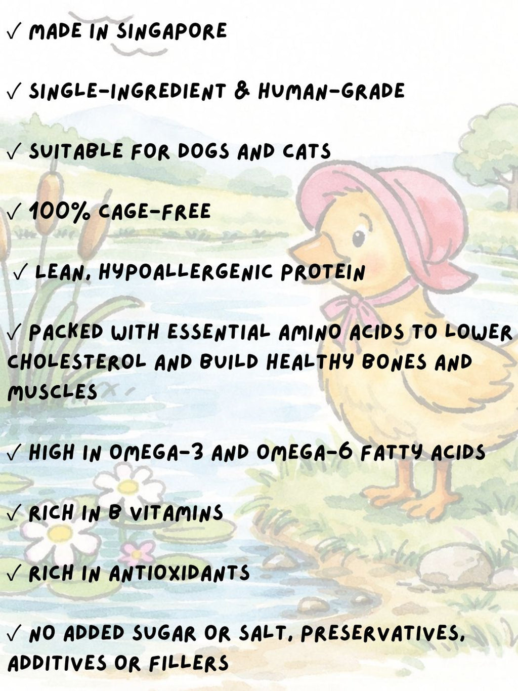 Freeze-Dried Free Range Duck Breast 50g