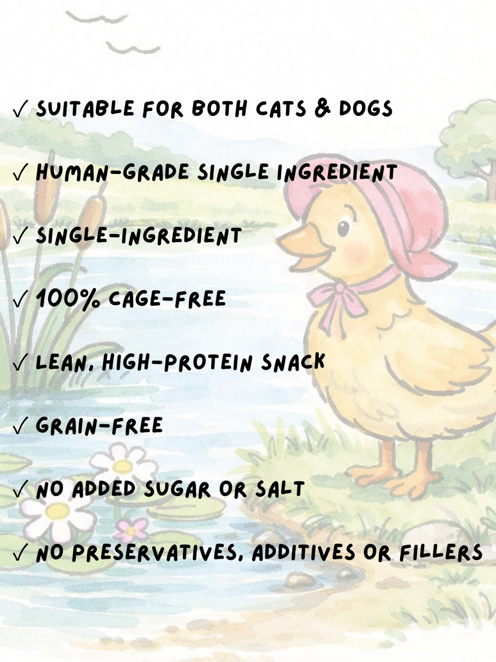 FREEZE DRIED FREE RANGE DUCK BREAST 50G
