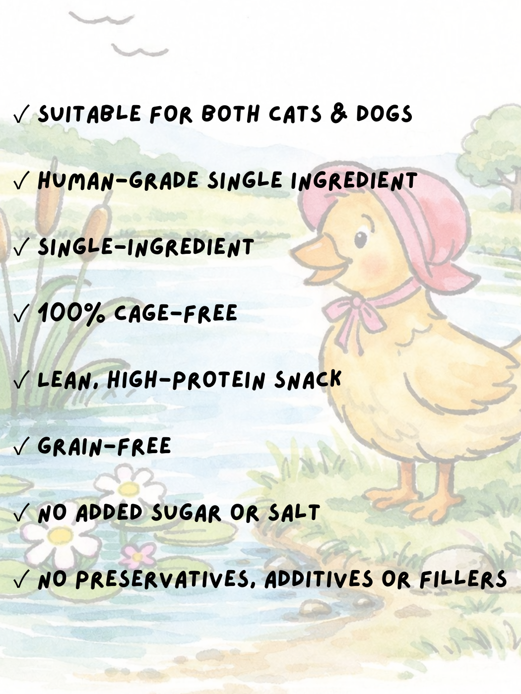 FREEZE DRIED FREE RANGE DUCK BREAST 50G