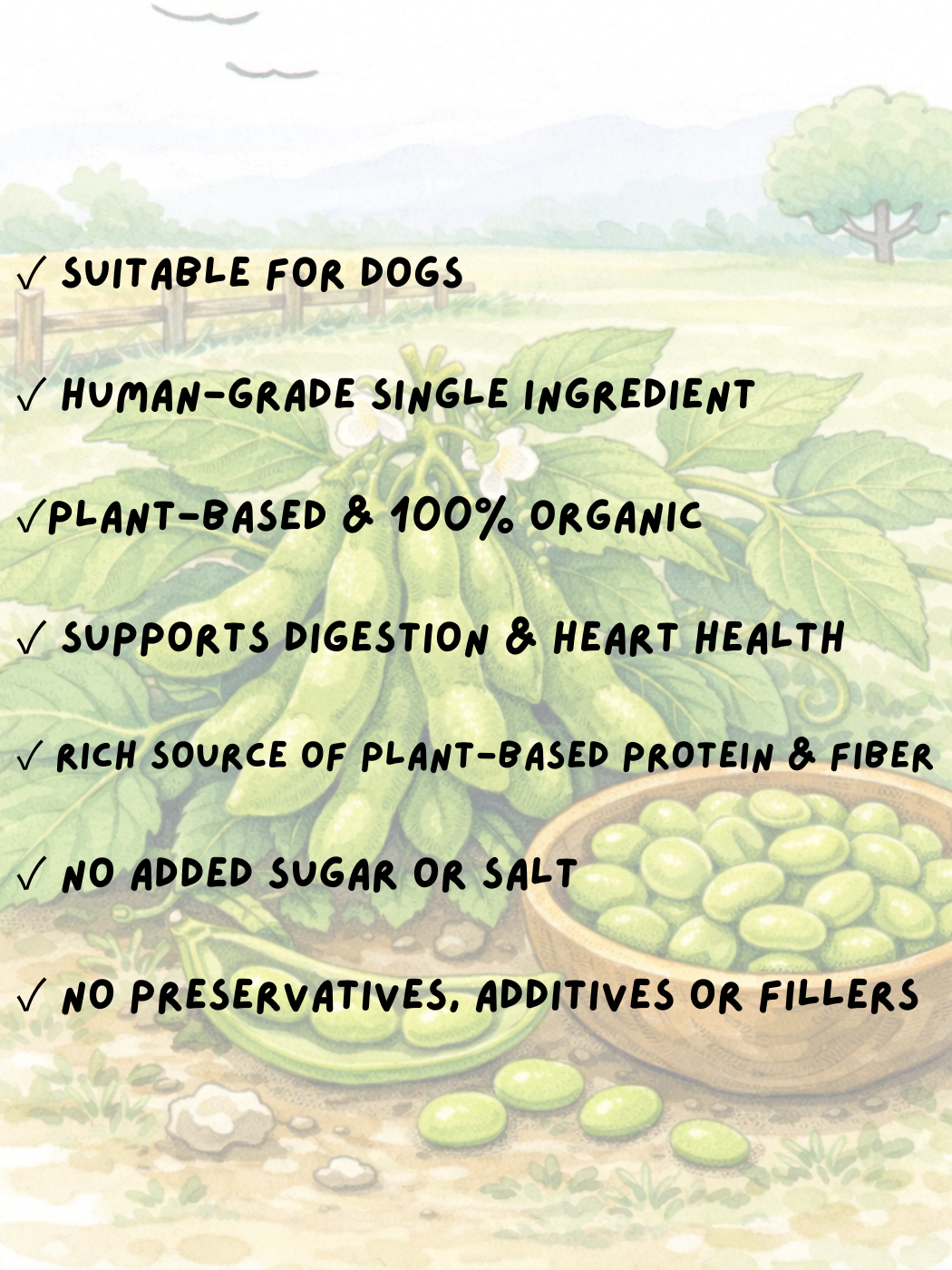 FREEZE DRIED ORGANIC EDAMAME 25G