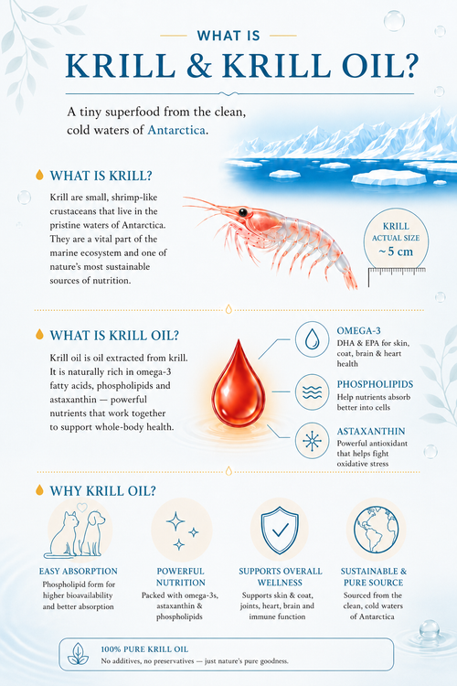 Antarctic Krill Oil 60ML