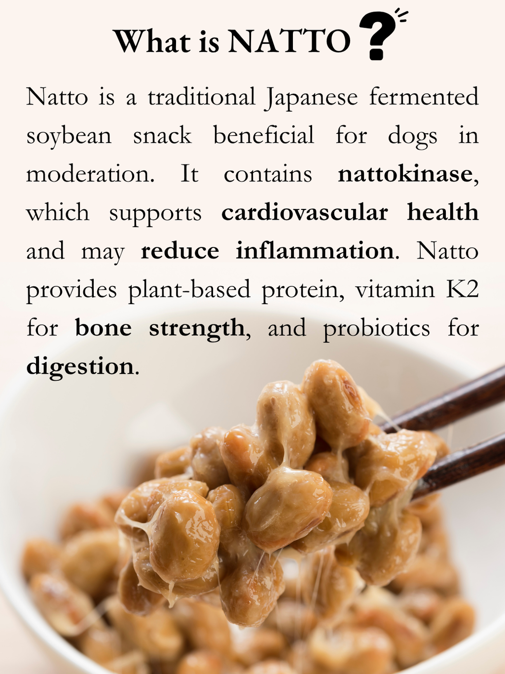 FREEZE DRIED ORGANIC NATTO 25G