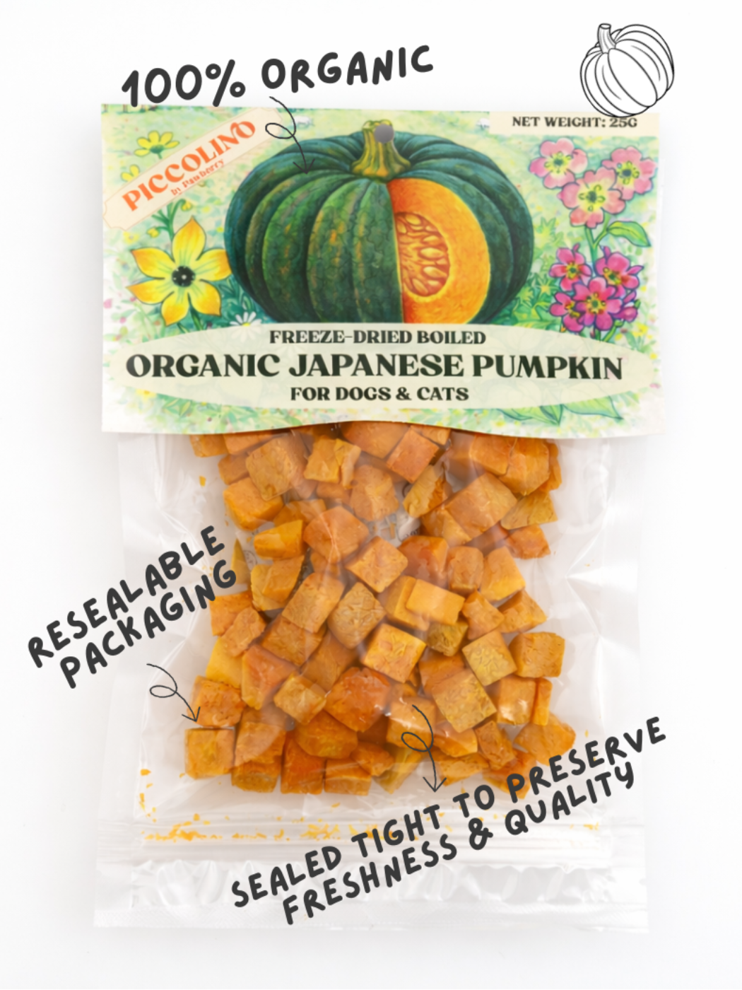 FREEZE DRIED ORGANIC PUMPKIN 25G