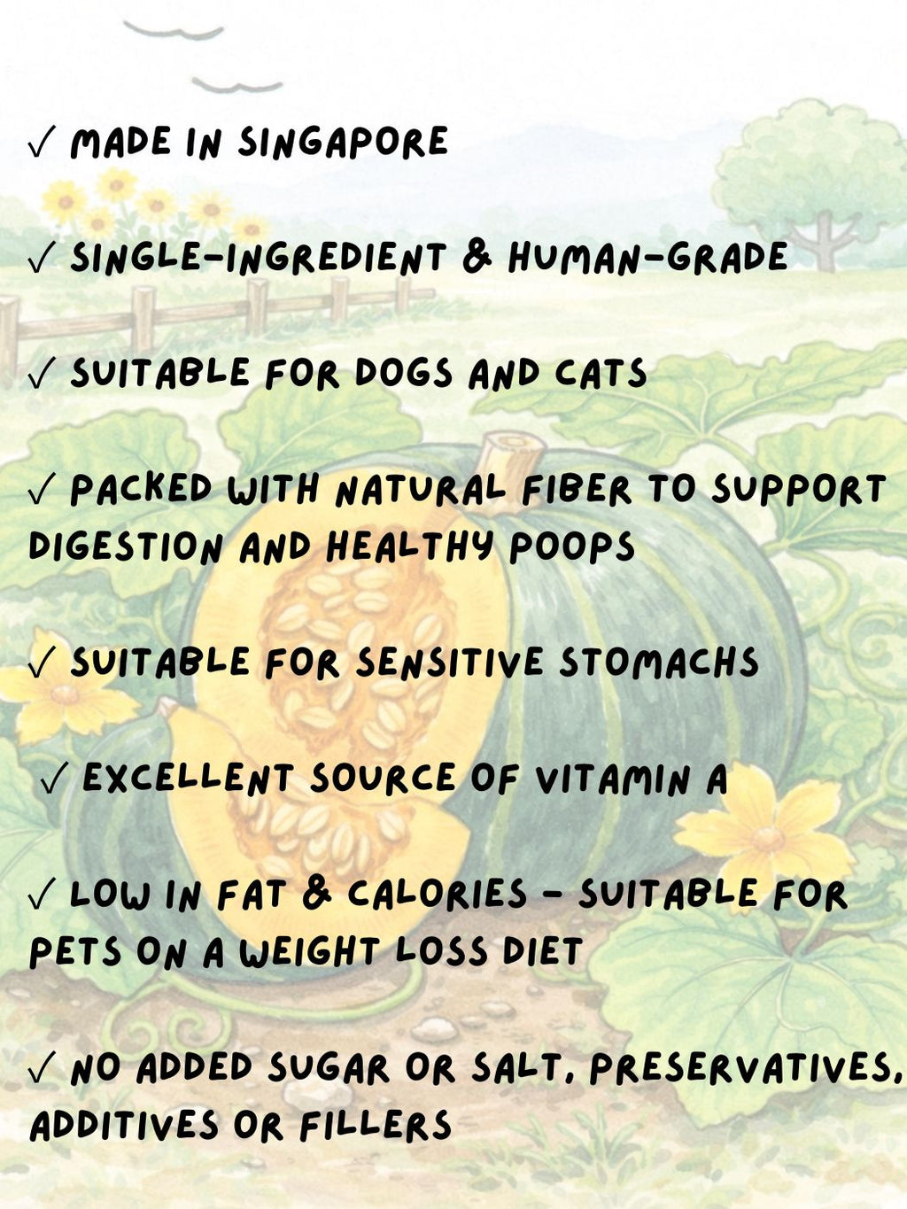 Freeze-Dried Organic Pumpkin 25g