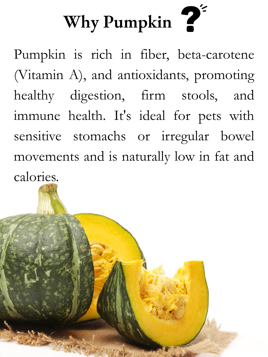 FREEZE DRIED ORGANIC PUMPKIN 25G