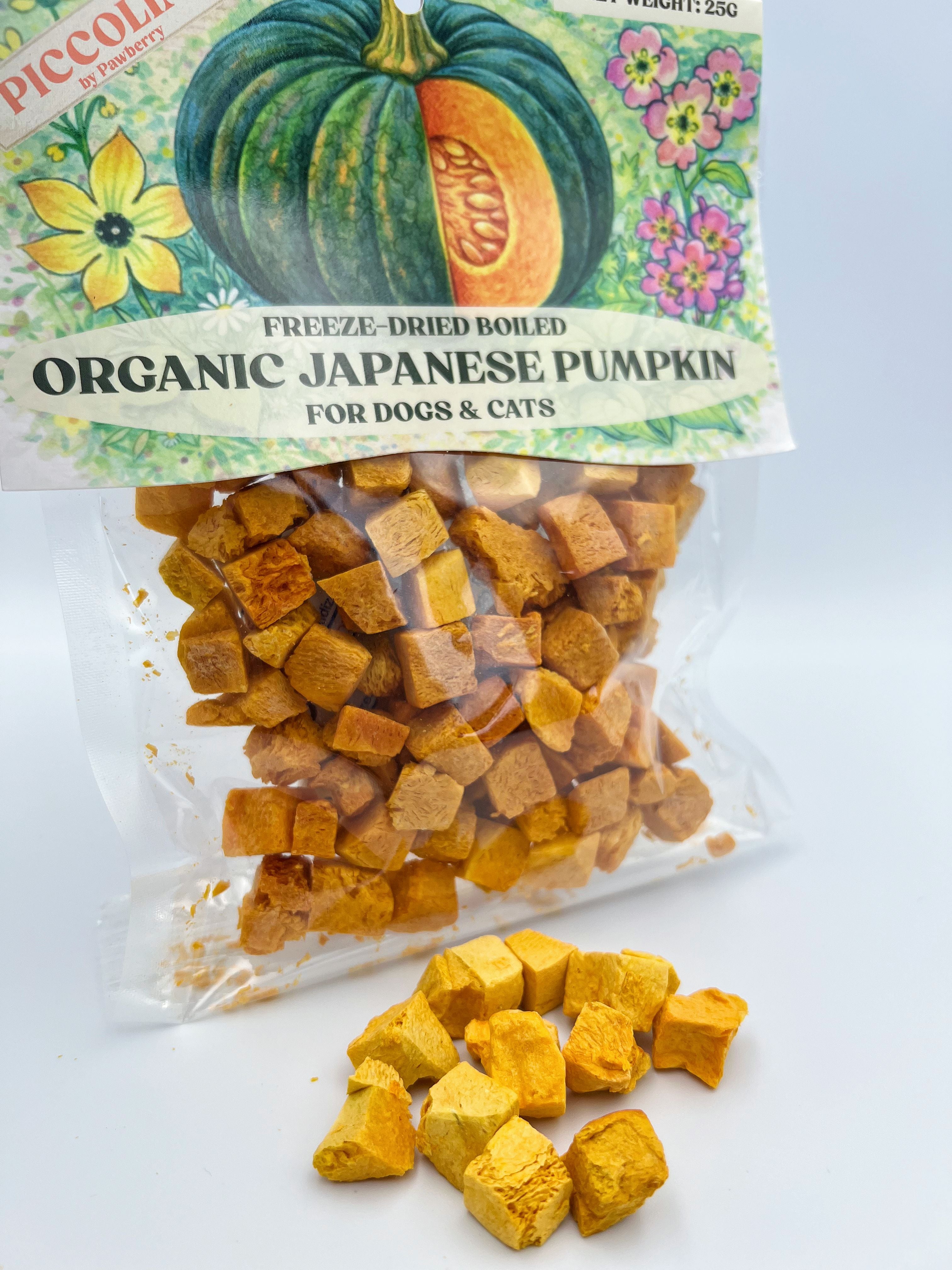 FREEZE DRIED ORGANIC PUMPKIN 25G