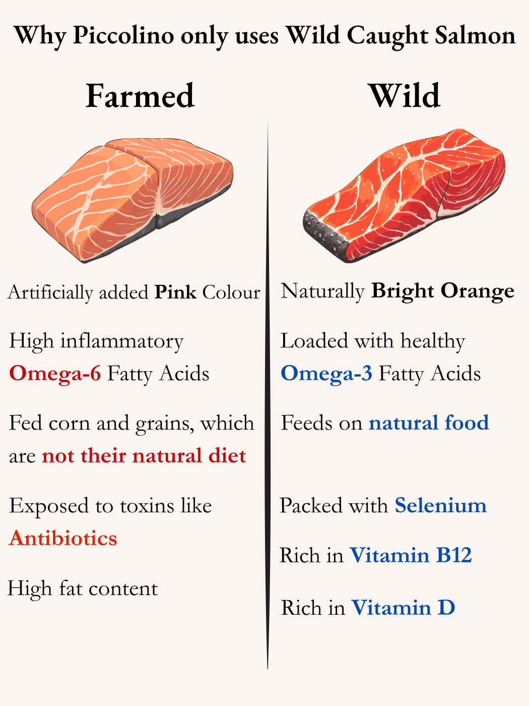 FREEZE DRIED WILD CAUGHT SALMON 50G