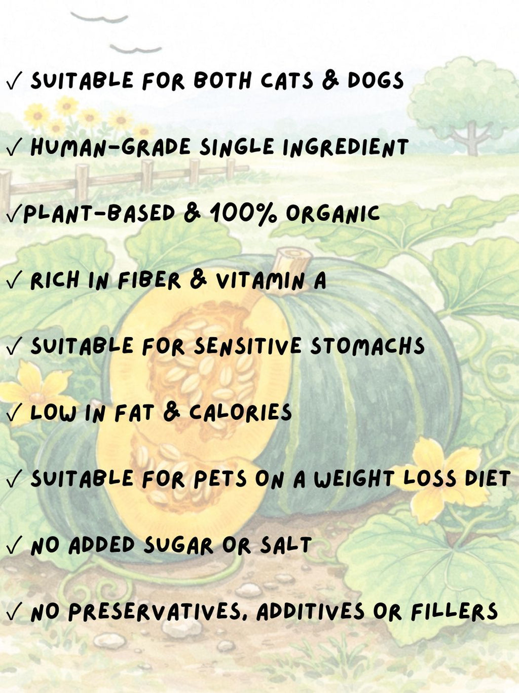 FREEZE DRIED ORGANIC PUMPKIN 25G