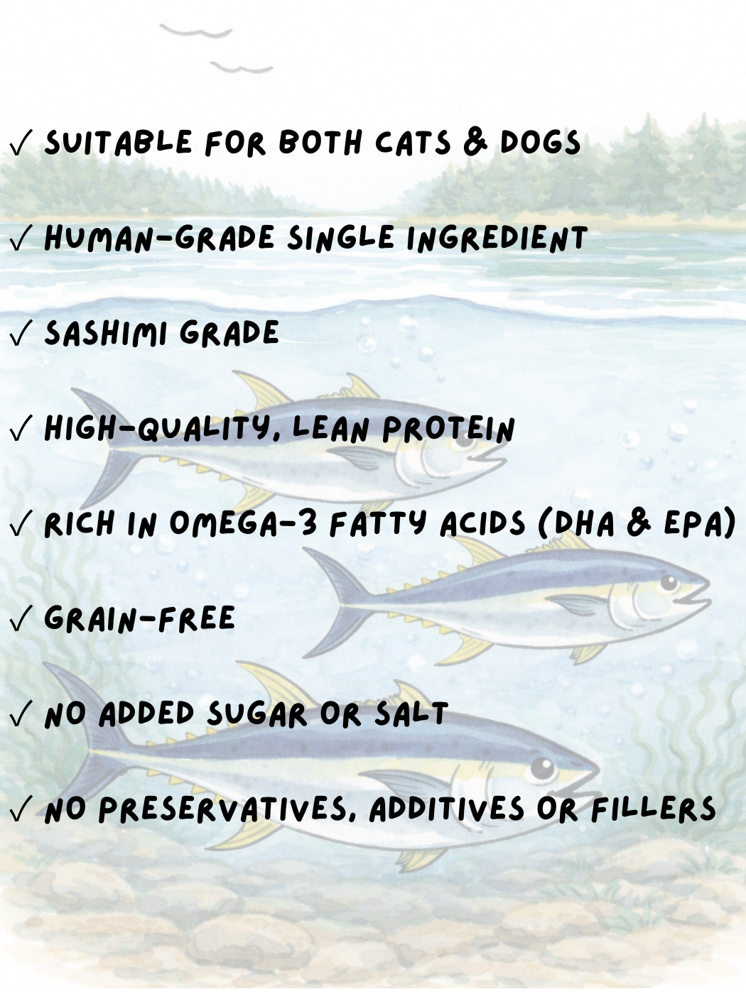 FREEZE-DRIED JAPANESE BLUEFIN TUNA 50G